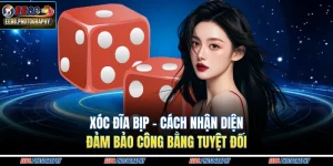 Xóc Đĩa Bịp